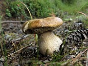IMG_0060