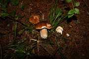 IMG_0321
