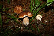 IMG_0322