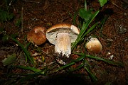 IMG_0323