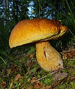 IMG_2092