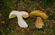 IMG_2094