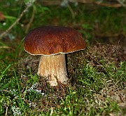 IMG_2493