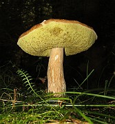 IMG_7680