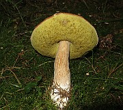 IMG_7681
