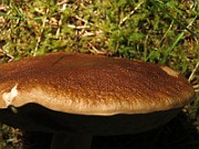 IMG_7687