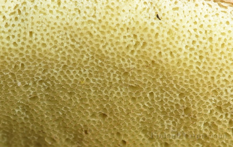 IMG_7577.JPG -                                