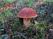 IMG_7571