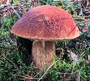 IMG_7572