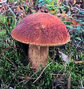 IMG_7573