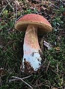IMG_7574
