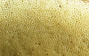 IMG_7577