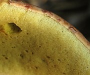 IMG_7578