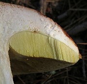 IMG_7580