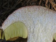 IMG_7583