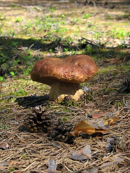 IMG_3460.jpg