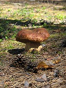IMG_3460