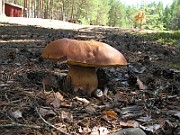 IMG_3475