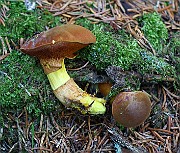 IMG_0347