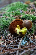 IMG_0348