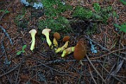 IMG_0351
