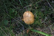 IMG_0375