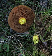 IMG_0376