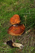 IMG_1945