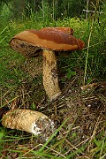 IMG_1946