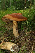 IMG_1947