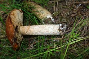 IMG_1948