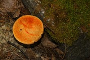 IMG_1956