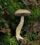 IMG_7751