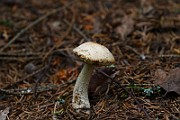 IMG_9168