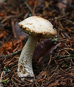 IMG_9169
