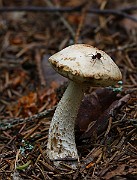 IMG_9170
