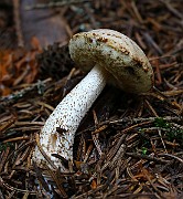 IMG_9172