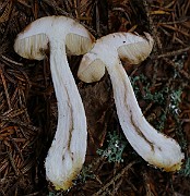IMG_9175