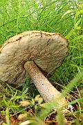 IMG_0069