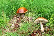 IMG_0072