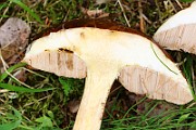 IMG_0105