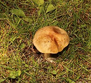 IMG_0738