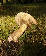 IMG_0743