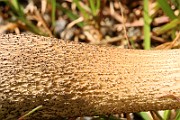 IMG_0746