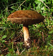 IMG_1974