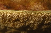 IMG_1976