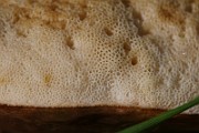 IMG_5820