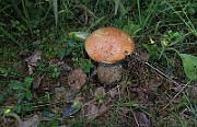 IMG_0113