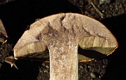 IMG_1927