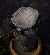 IMG_2066